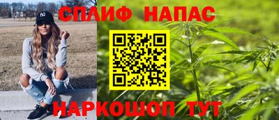 ПСИЛОЦИБИНОВЫЕ ГРИБЫ Кингисепп