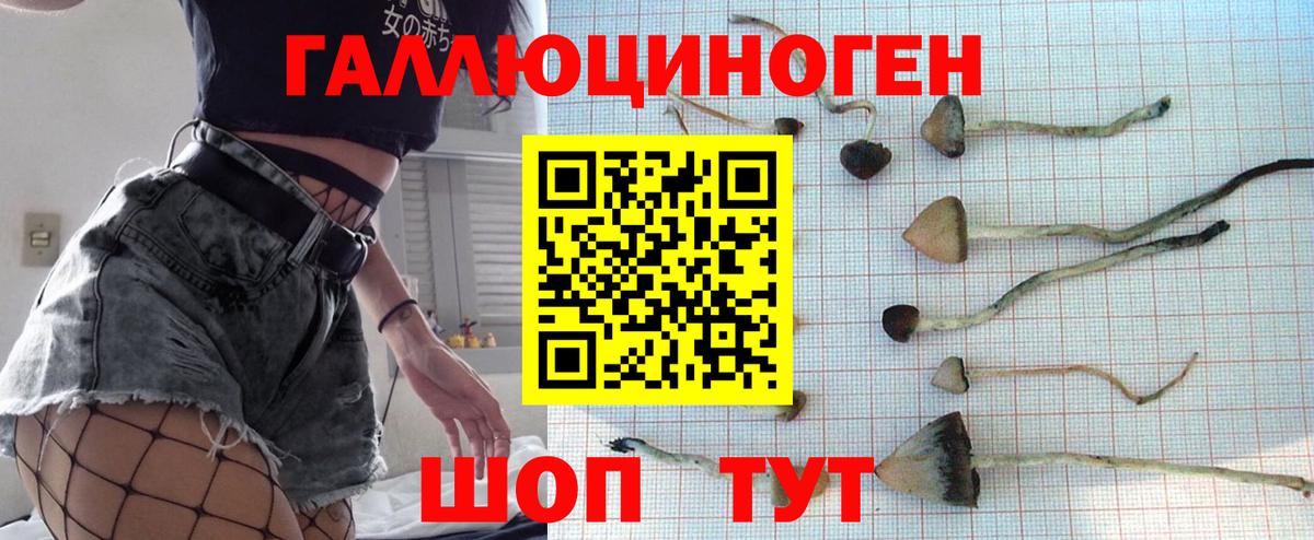Кимры  Псилоцибиновые грибы мицелий  Вход с VPN 